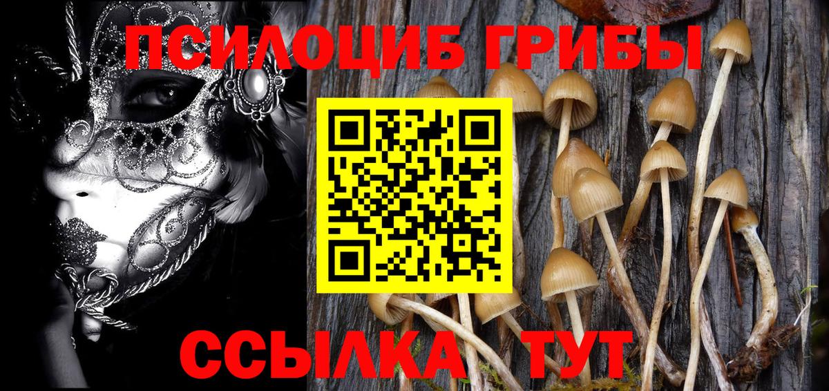 Галлюциногенные грибы Psilocybe  Вход с VPN  Сертолово 